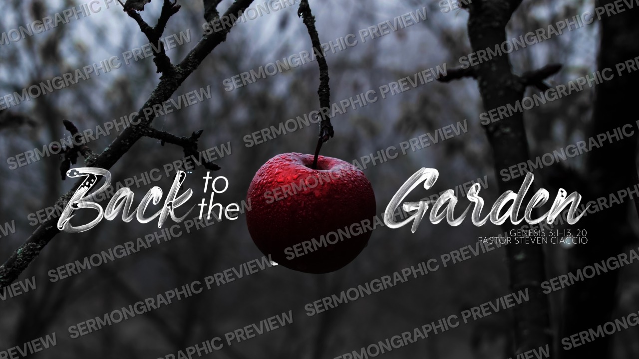 Back to the Garden Ps Ciaccio sermon graphic preview