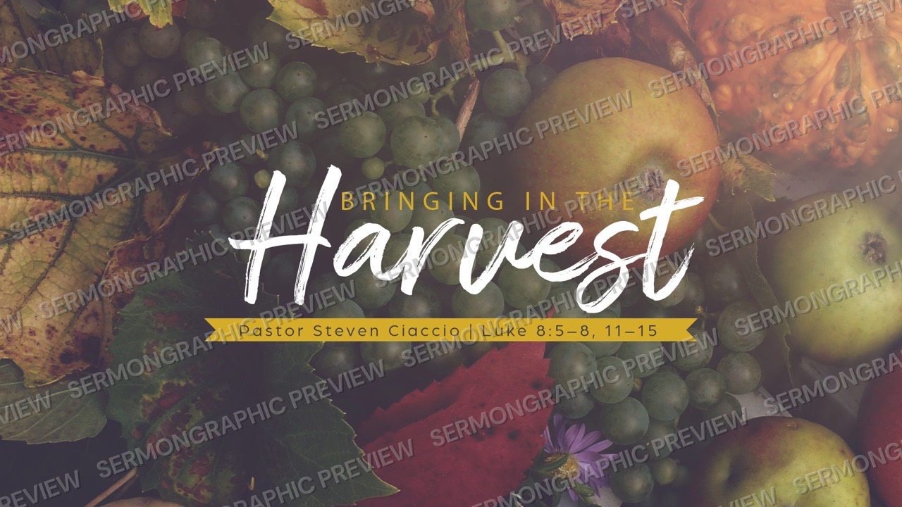 Bringing in the Harvest sermon graphic preview