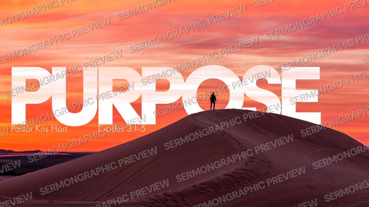 Purpose sermon graphic preview
