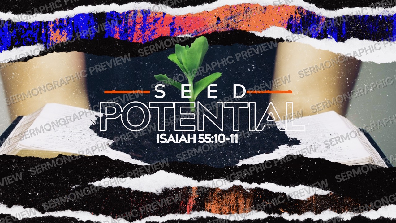 Seed Potential Main sermon graphic preview