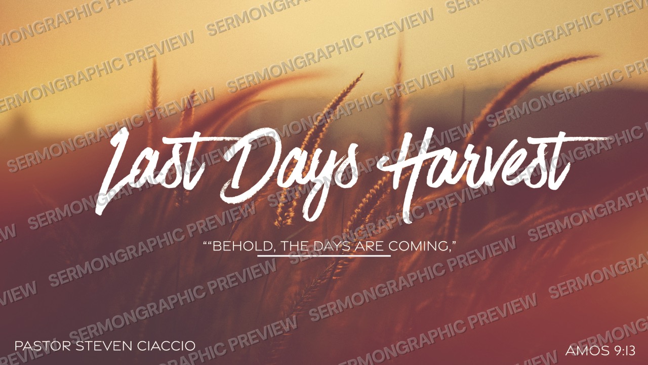 Last Days Harvest sermon graphic preview