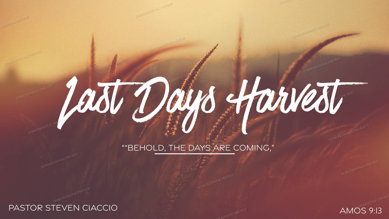 Last Days Harvest sermon graphic preview