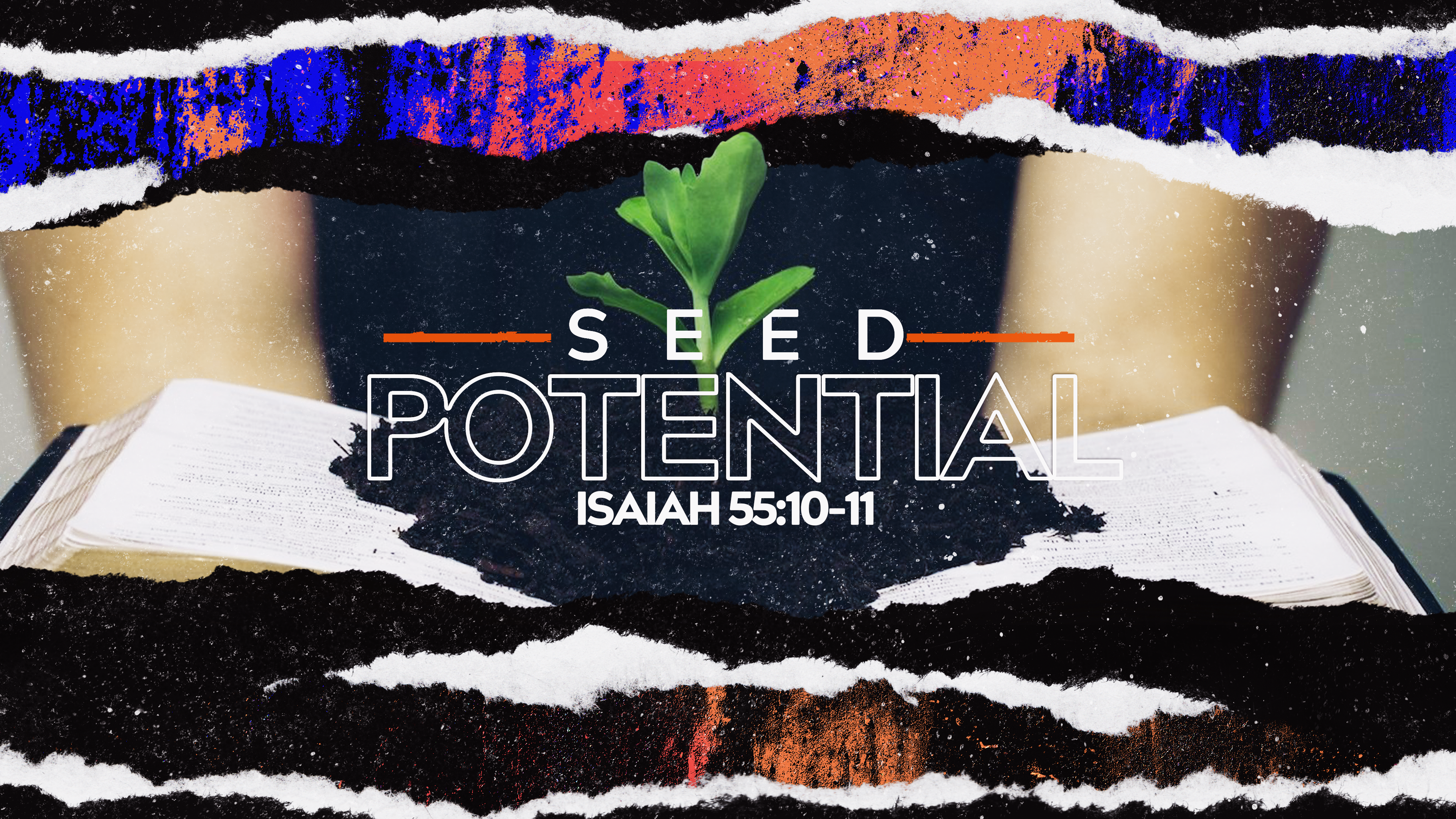 Seed Potential Main sermon graphic preview